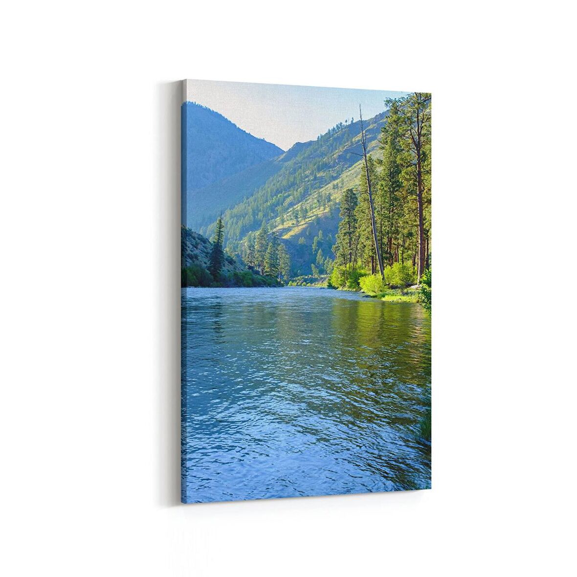 Olla 14059D Doğa / Manzara Görseli Dikey Kanvas Tablo (Ölçü: 70X105)