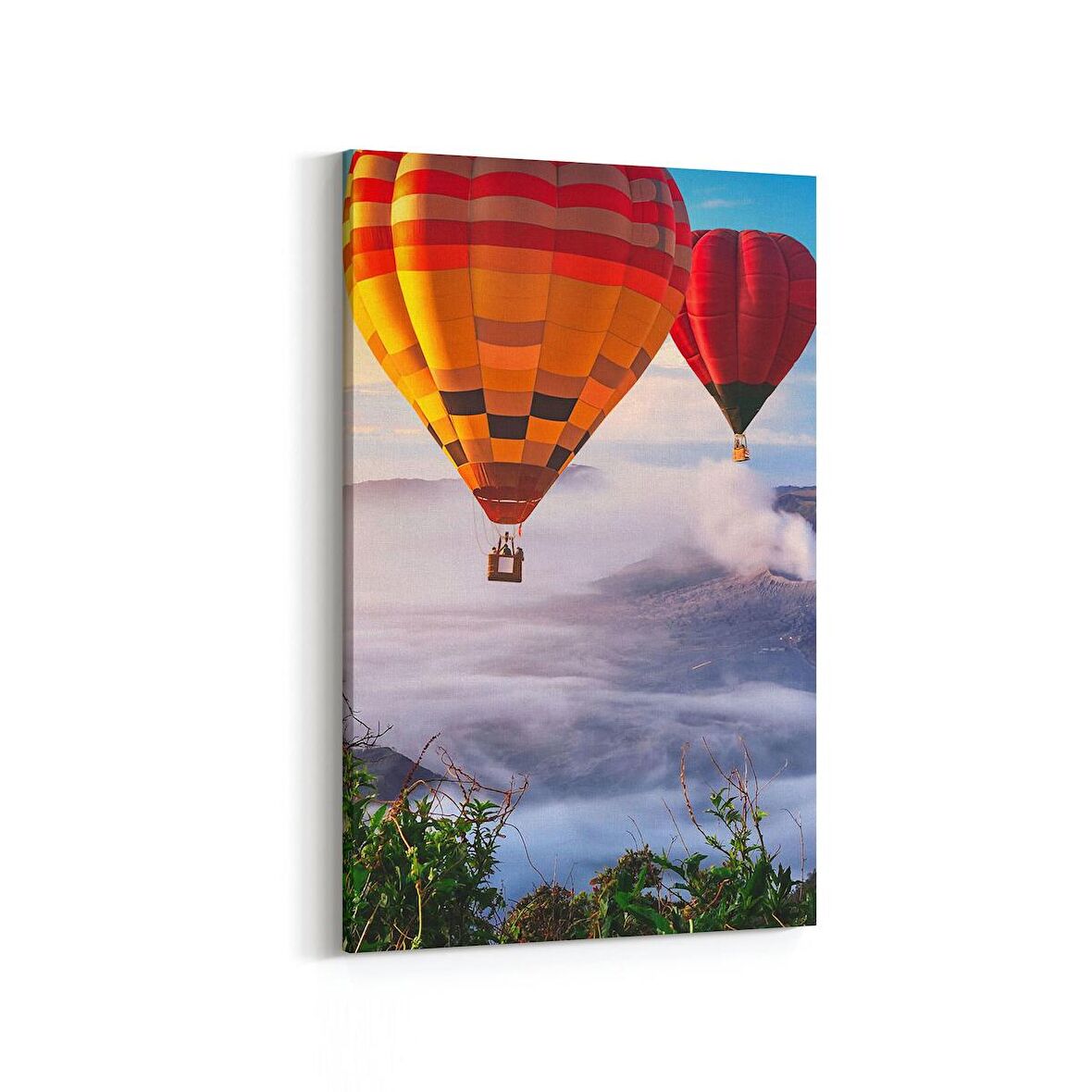 Olla 13288D Doğa / Manzara Görseli Dikey Kanvas Tablo (Ölçü: 70X105)