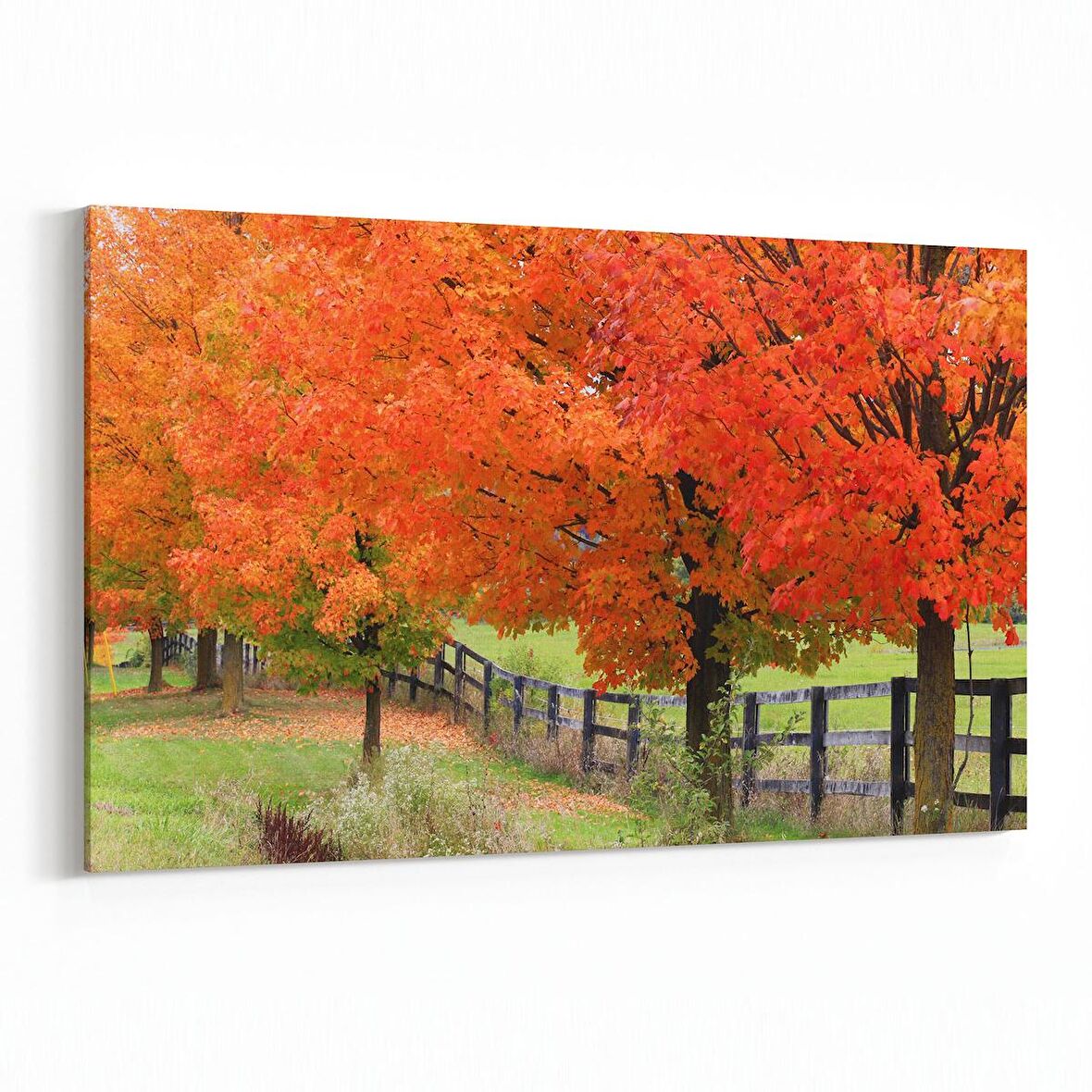 Olla 13292Y Doğa / Manzara Görseli Yatay Kanvas Tablo (Ölçü: 45X30)