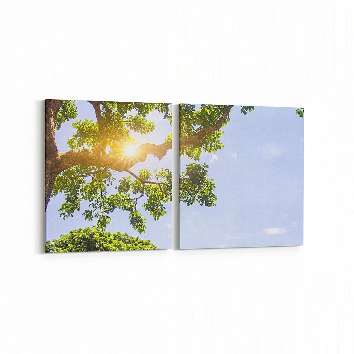 Olla 10604K2Y Ağaç Görseli Kare 2'li Yatay Kanvas Tablo (Ölçü: 145X70)