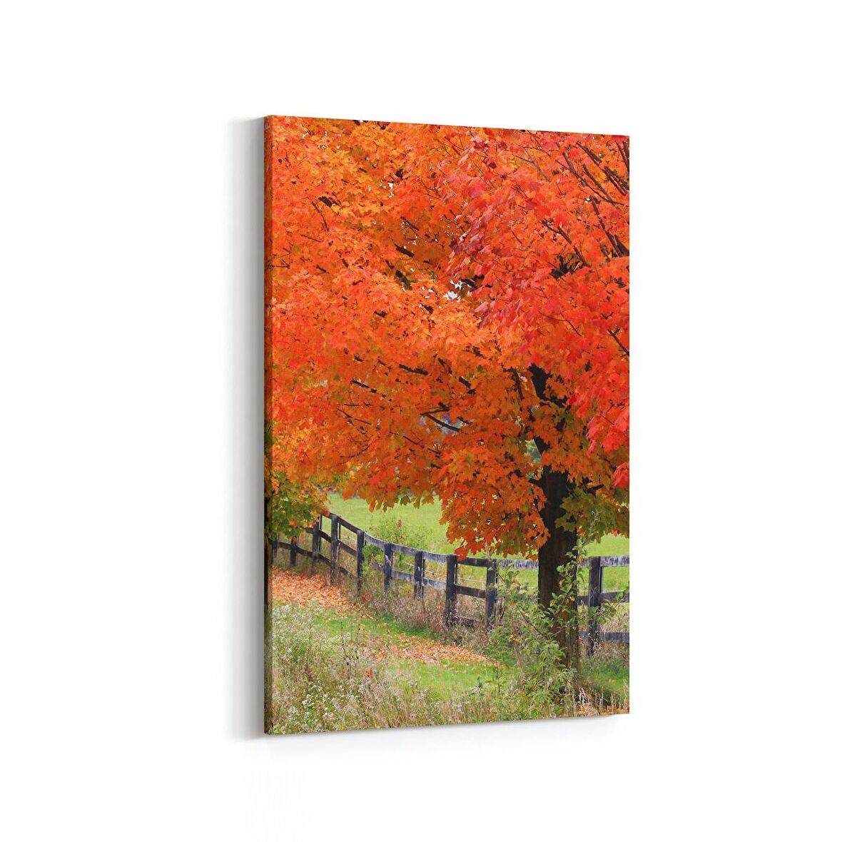 Olla 13292D Doğa / Manzara Görseli Dikey Kanvas Tablo (Ölçü: 100X150)