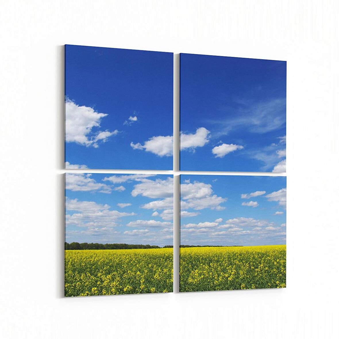 Olla 13965K4 Doğa / Manzara Görseli Kare 4'lü Kanvas Tablo (Ölçü: 145X145)