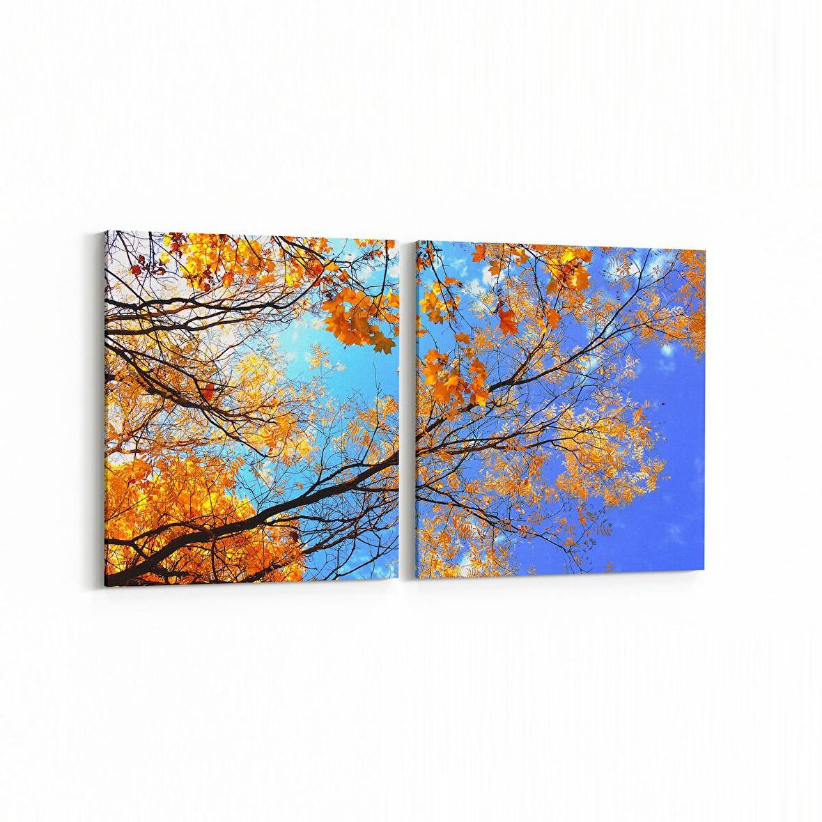 Olla 10855K2Y Ağaç Görseli Kare 2'li Yatay Kanvas Tablo (Ölçü: 105X50)