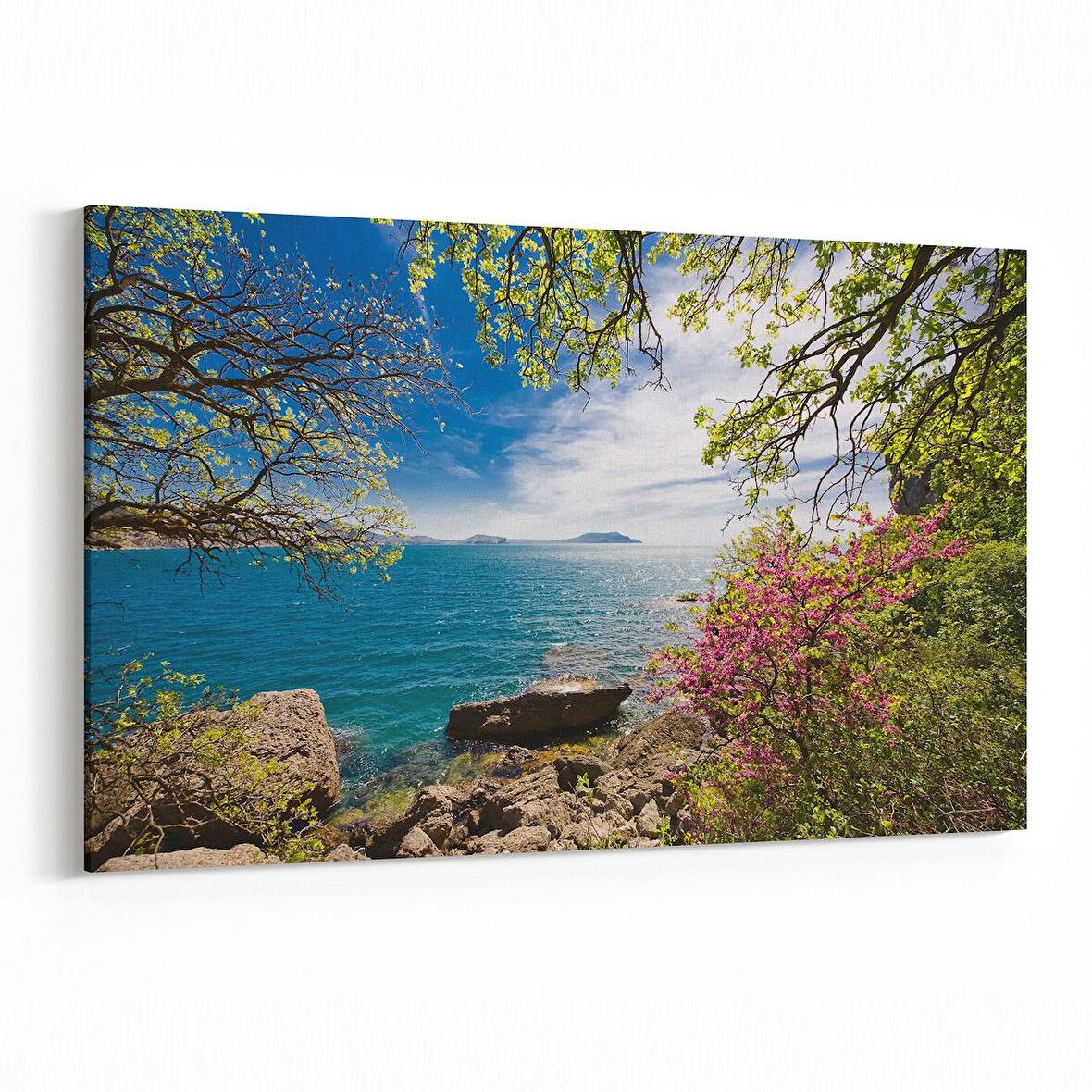 Olla 14349Y Doğa / Manzara Görseli Yatay Kanvas Tablo (Ölçü: 45X30)