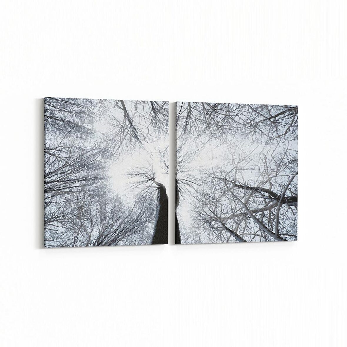 Olla 11046K2Y Ağaç Görseli Kare 2'li Yatay Kanvas Tablo (Ölçü: 105X50)
