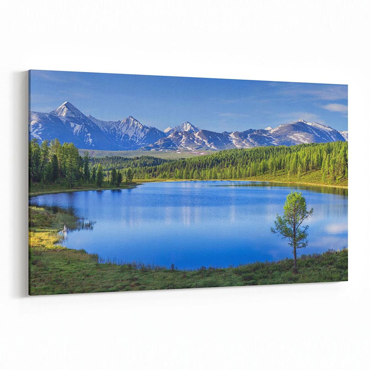 Olla 13166Y Doğa / Manzara Görseli Yatay Kanvas Tablo (Ölçü: 70X50)