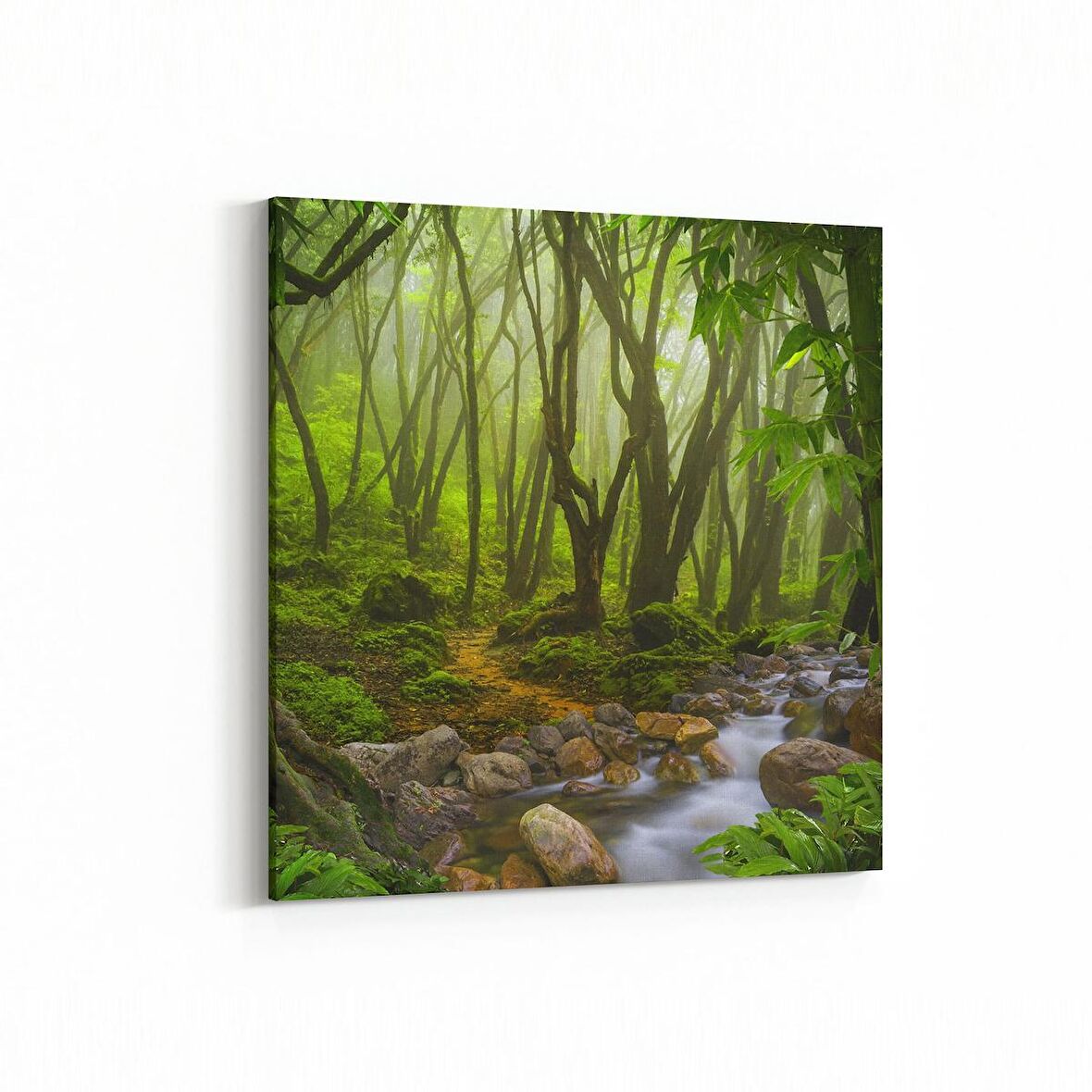 Olla 14431K Doğa / Manzara Görseli Kare Kanvas Tablo (Ölçü: 30X30)