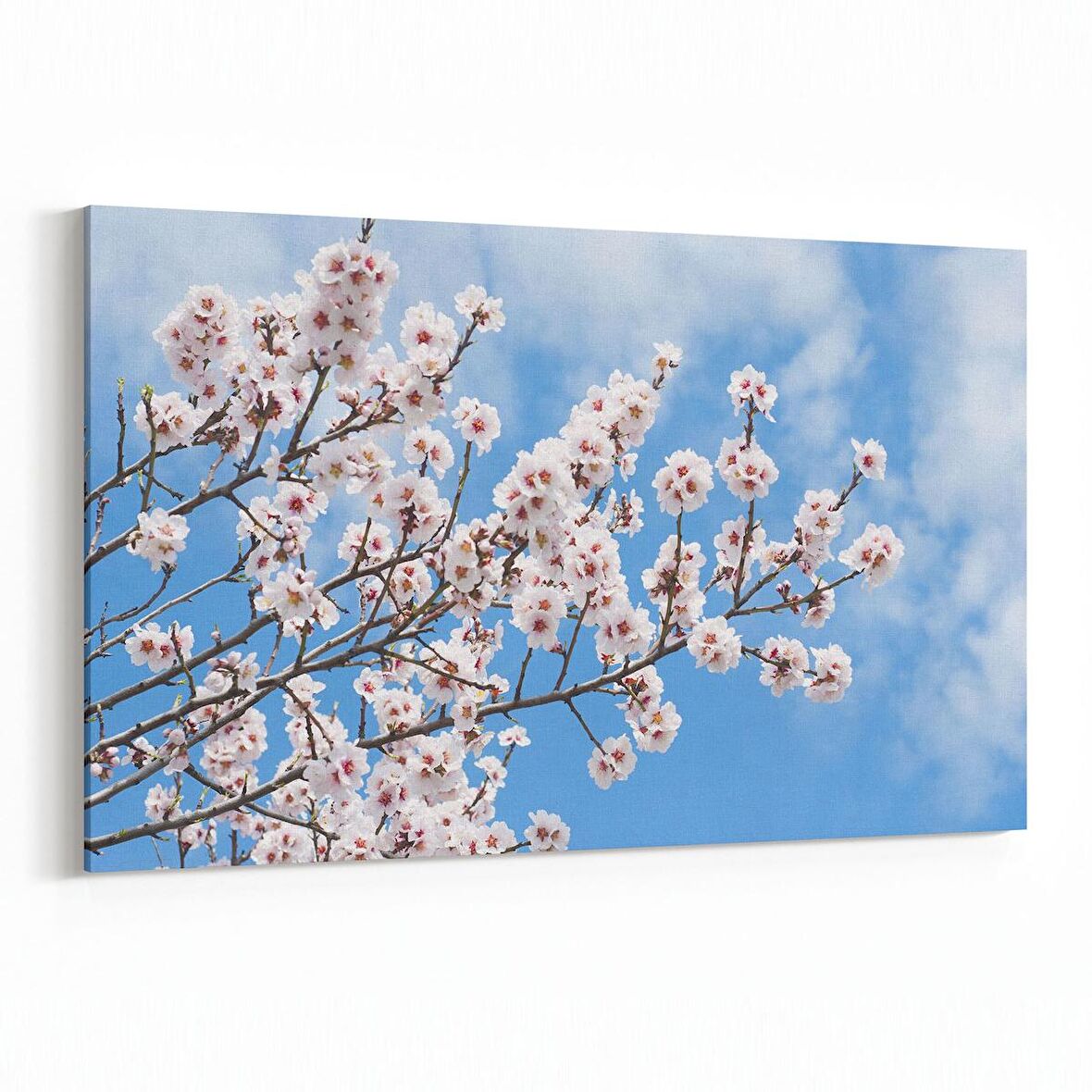 Olla 10636Y Ağaç Görseli Yatay Kanvas Tablo (Ölçü: 30X20)