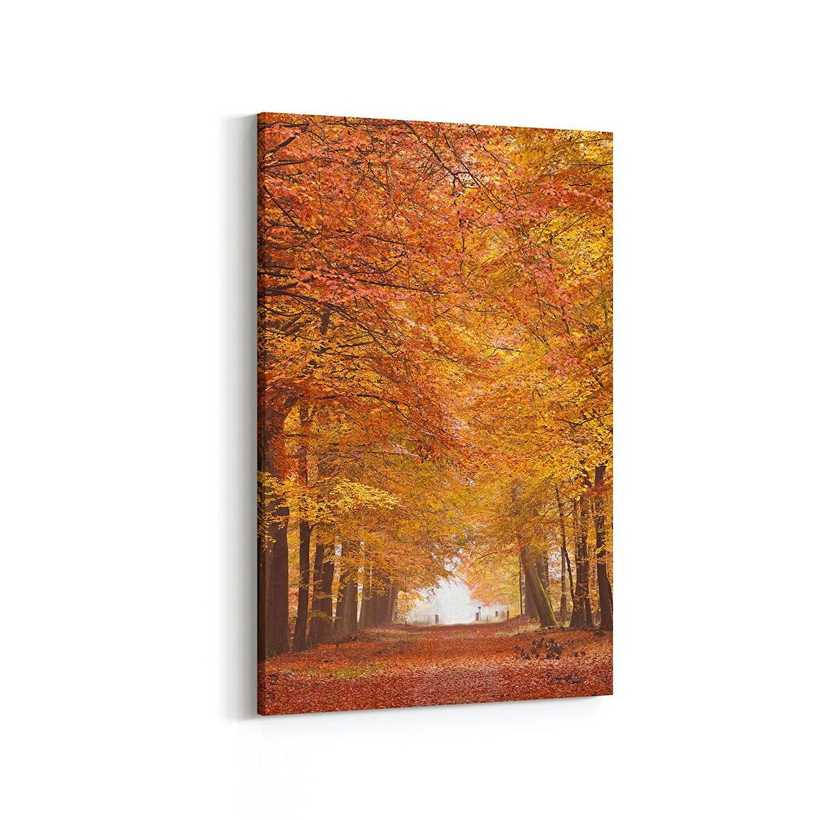 Olla 14561D Doğa / Manzara Görseli Dikey Kanvas Tablo (Ölçü: 60X90)