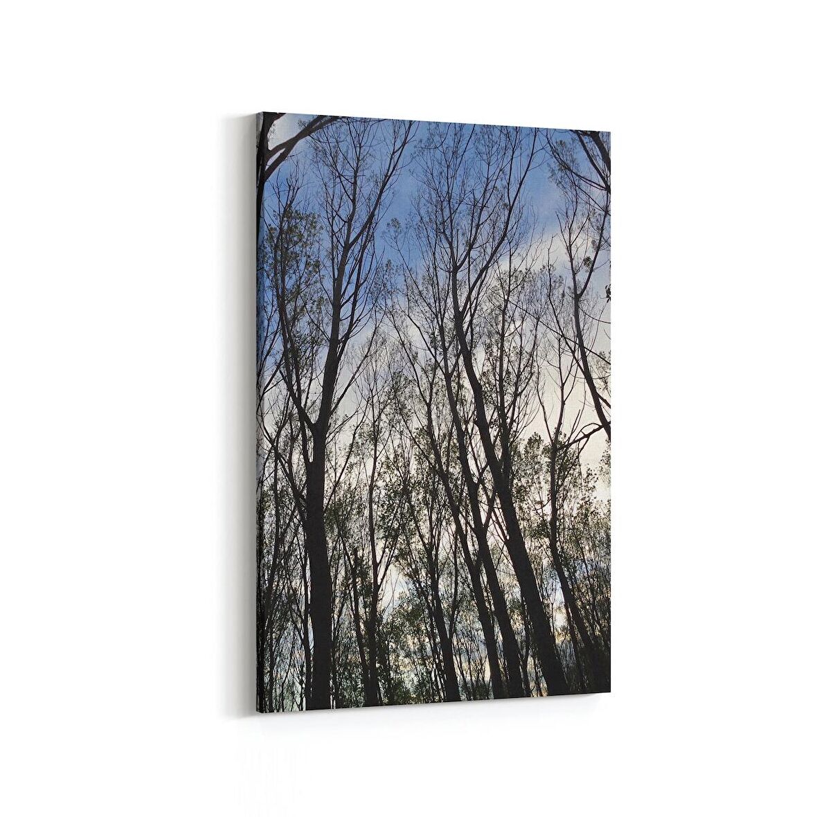 Olla 10466D Ağaç Görseli Dikey Kanvas Tablo (Ölçü: 100X150)