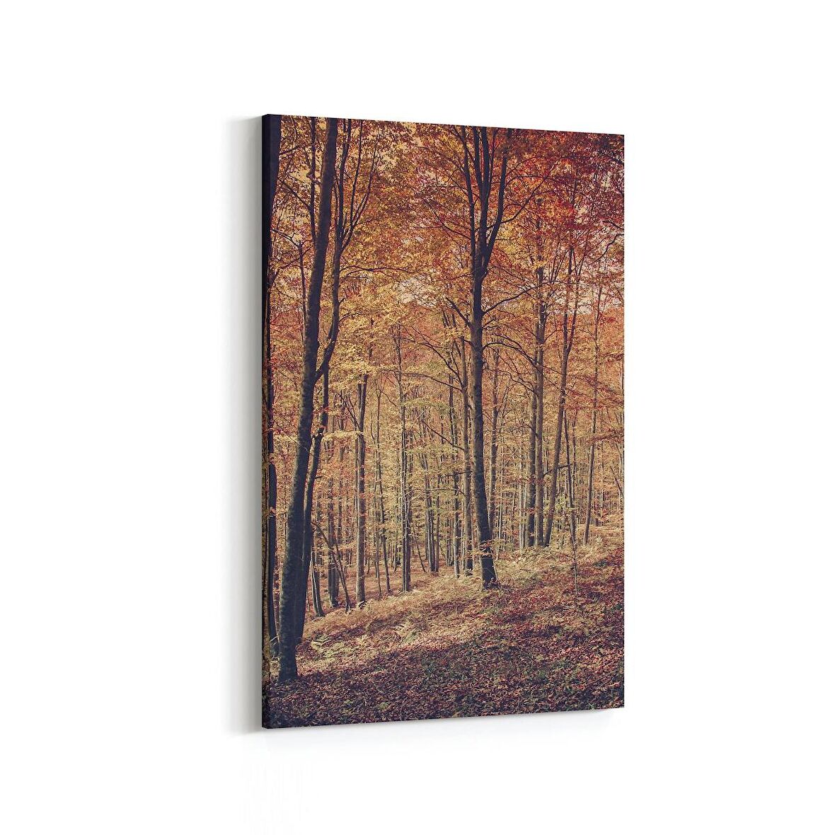 Olla 14136D Doğa / Manzara Görseli Dikey Kanvas Tablo (Ölçü: 60X90)