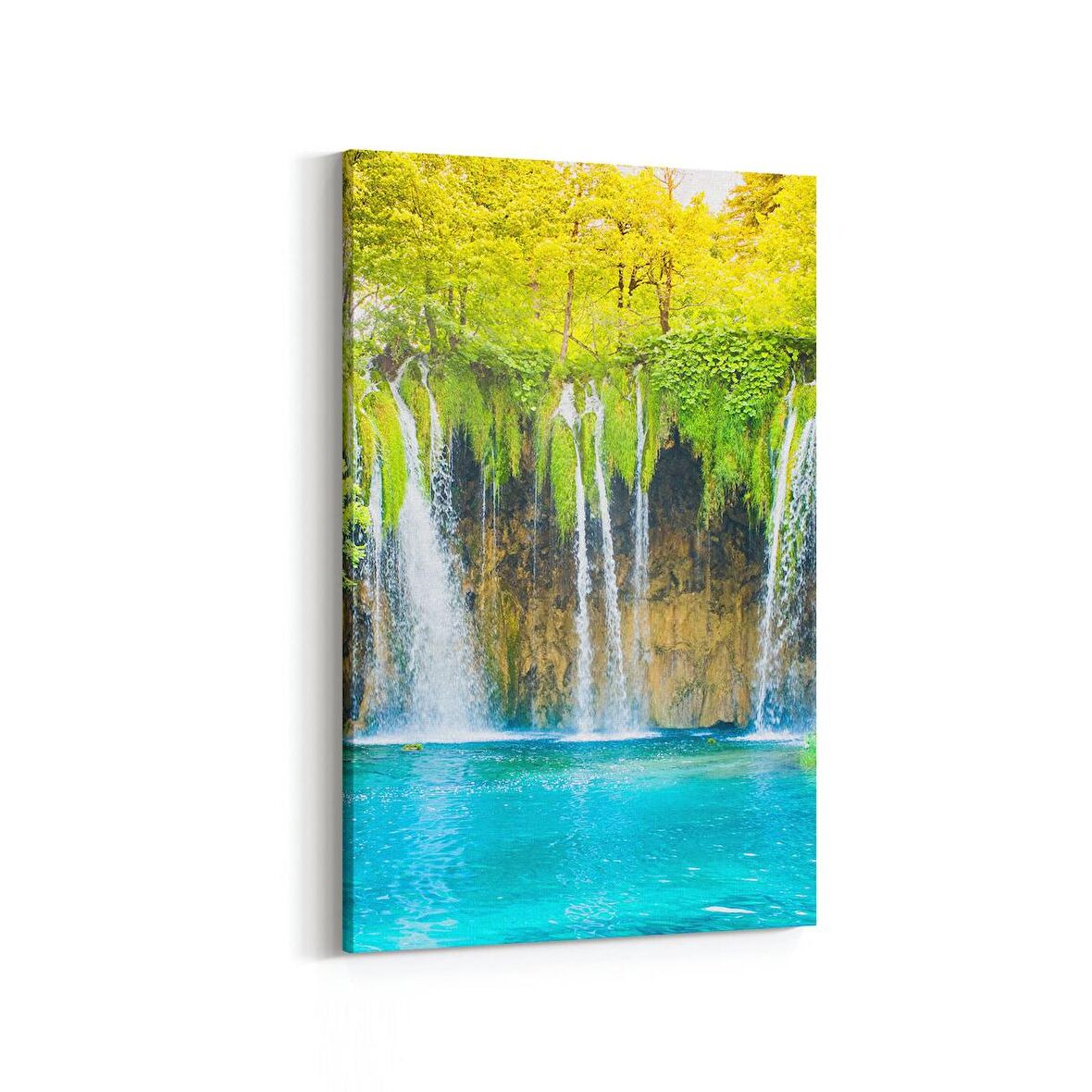 Olla 14076D Doğa / Manzara Görseli Dikey Kanvas Tablo (Ölçü: 60X90)