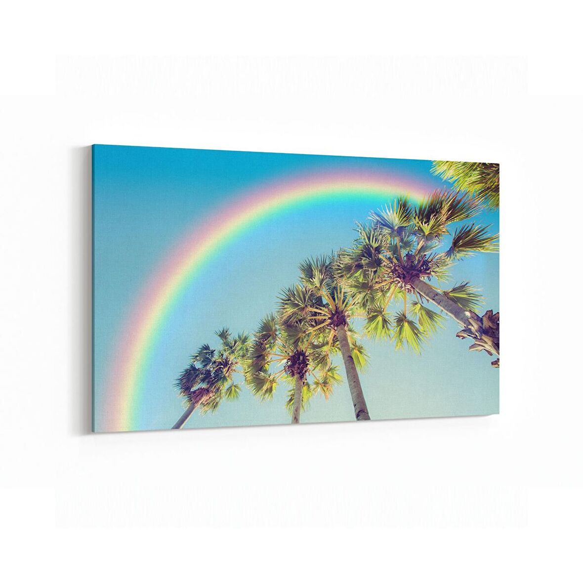 Olla 11530Y Palmiye Ağacı Görseli Yatay Kanvas Tablo (Ölçü: 30X20)