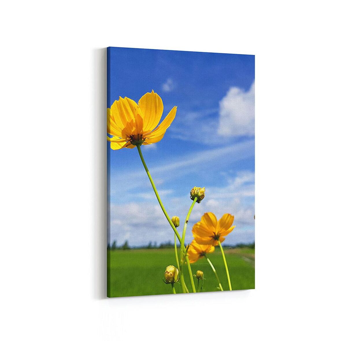 Olla 14392D Doğa / Manzara Görseli Dikey Kanvas Tablo (Ölçü: 100X150)