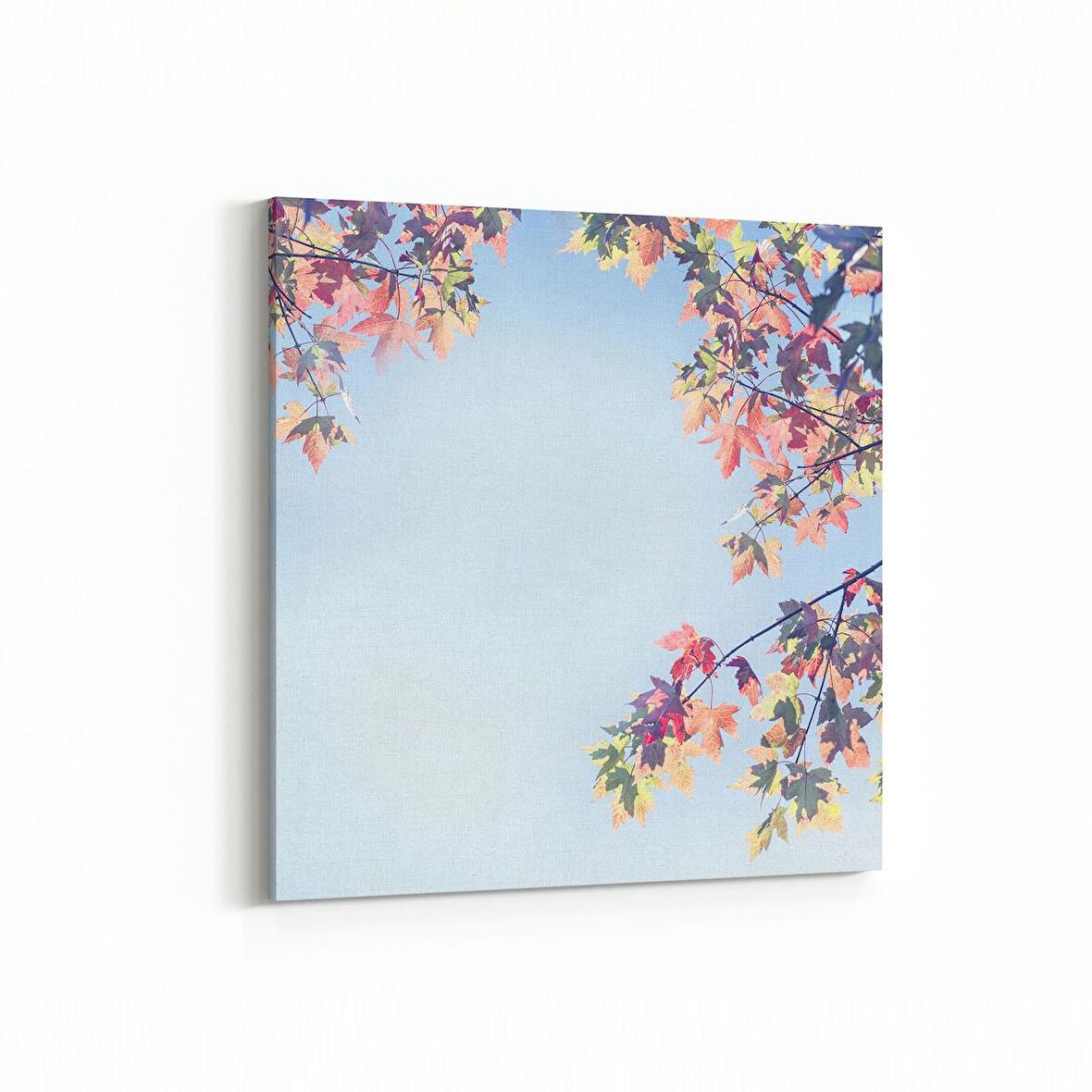 Olla 10785K Ağaç Görseli Kare Kanvas Tablo (Ölçü: 30X30)