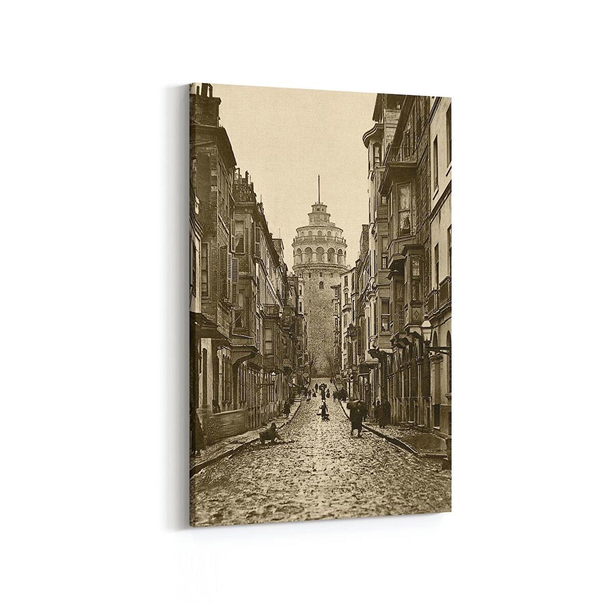 Olla 18314D Yapı Görseli Dikey Kanvas Tablo (Ölçü: 60X90)