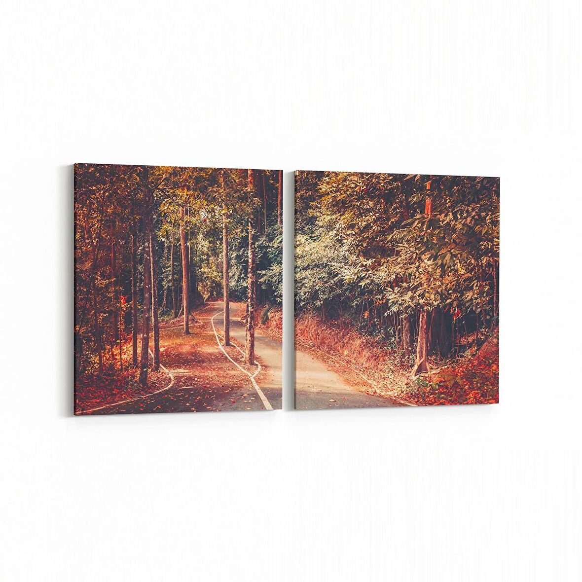 Olla 14454K2Y Doğa / Manzara Görseli Kare 2'li Yatay Kanvas Tablo (Ölçü: 85X40)