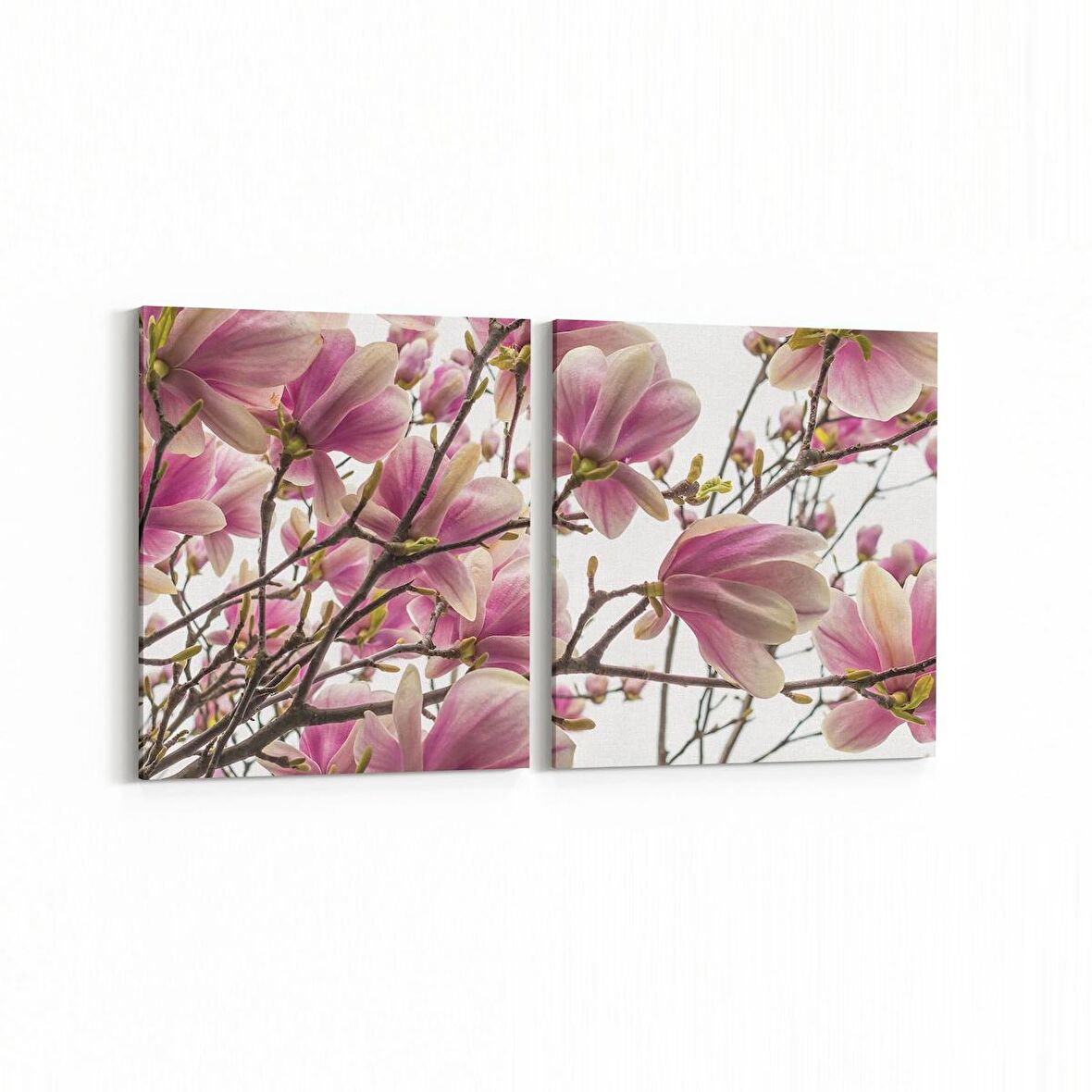 Olla 10950K2Y Ağaç Görseli Kare 2'li Yatay Kanvas Tablo (Ölçü: 105X50)