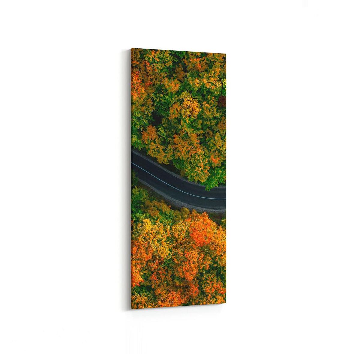 Olla 14467DI Doğa / Manzara Görseli Dikey İnce Kanvas Tablo (Ölçü: 40X120)