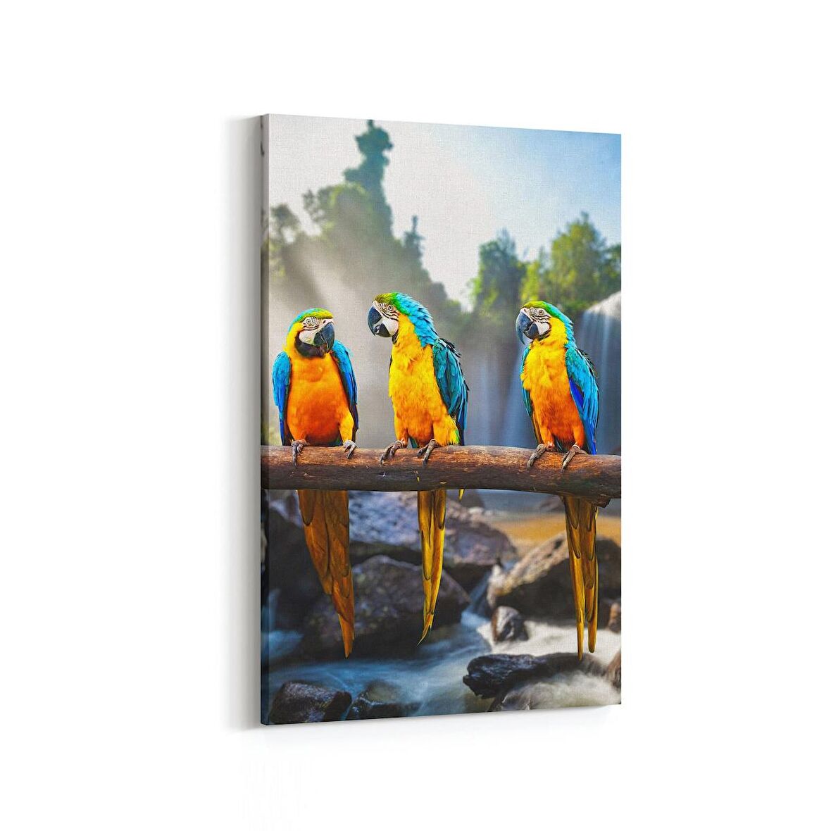 Olla 12560D Hayvanlar Alemi Görseli Dikey Kanvas Tablo (Ölçü: 20X30)