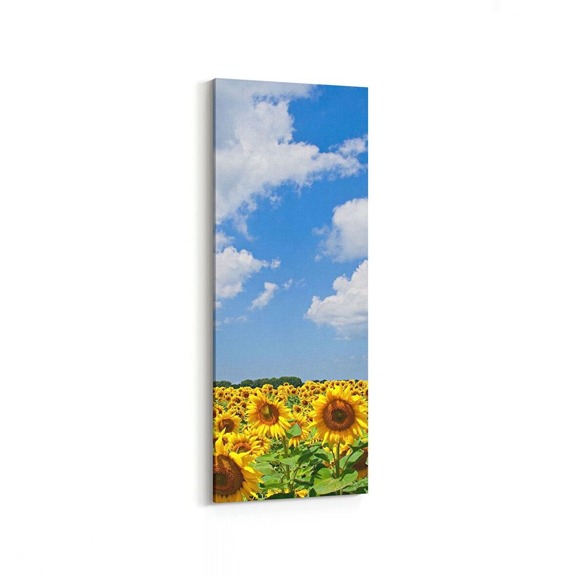 Olla 13715DI Doğa / Manzara Görseli Dikey İnce Kanvas Tablo (Ölçü: 40X120)
