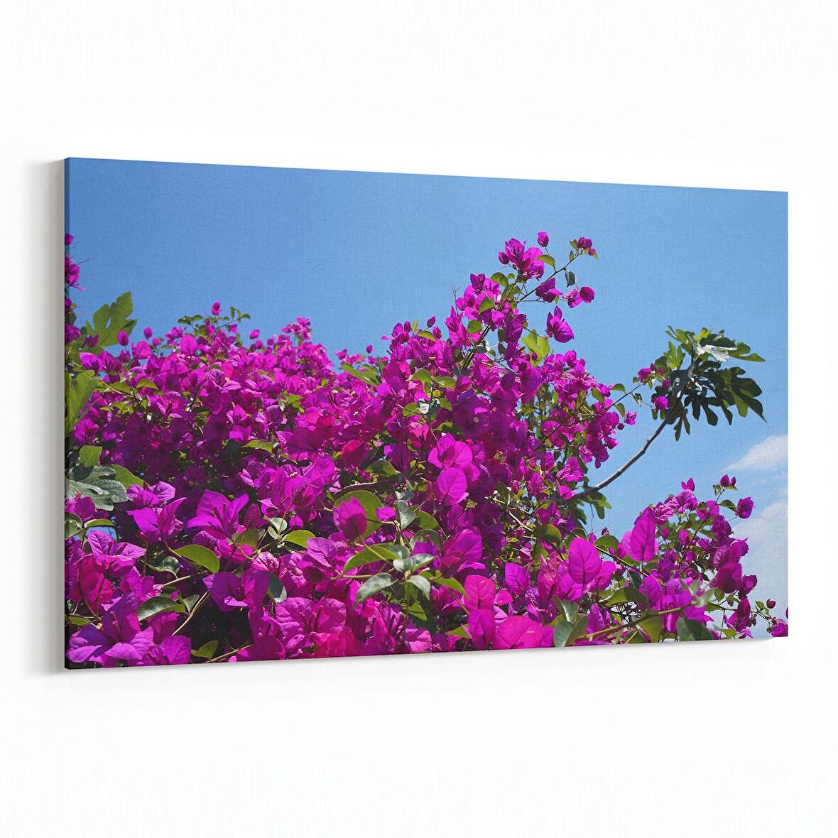 Olla 10997Y Ağaç Görseli Yatay Kanvas Tablo (Ölçü: 150X100)