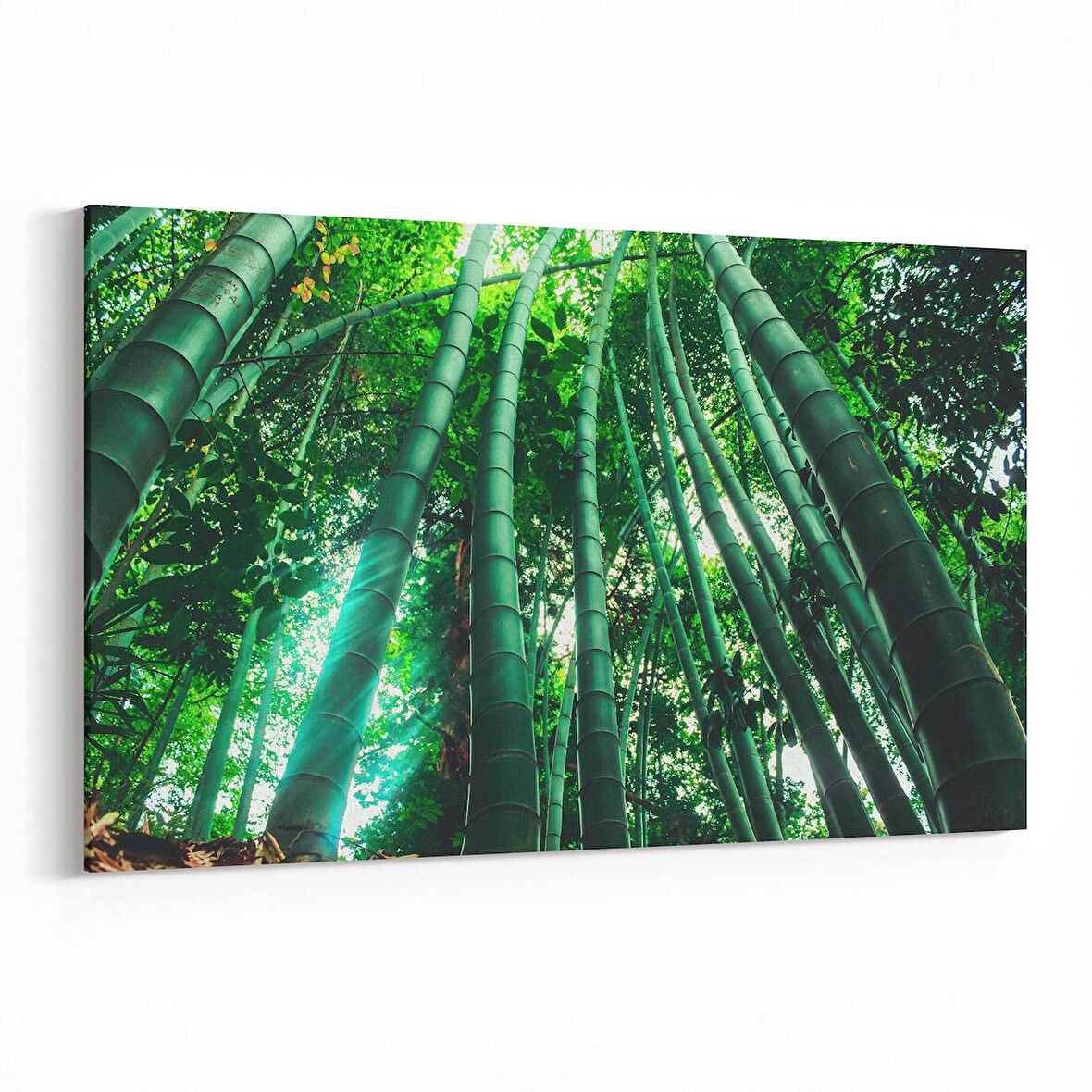 Olla 13313Y Doğa / Manzara Görseli Yatay Kanvas Tablo (Ölçü: 45X30)