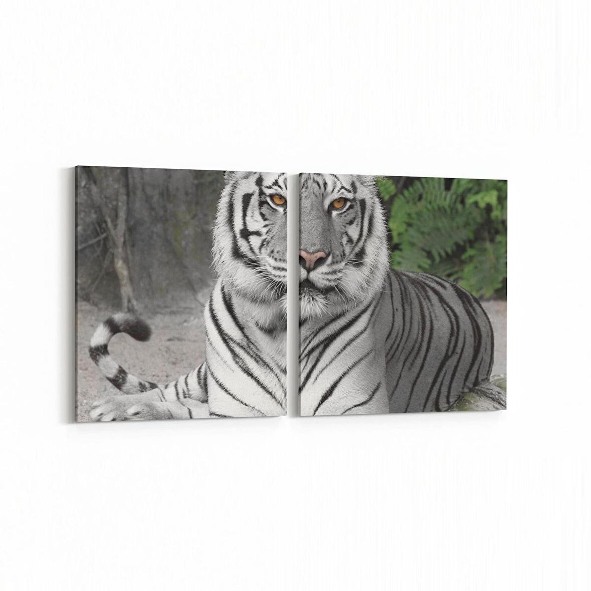 Olla 12515K2Y Hayvanlar Alemi Görseli Kare 2'li Yatay Kanvas Tablo (Ölçü: 145X70)