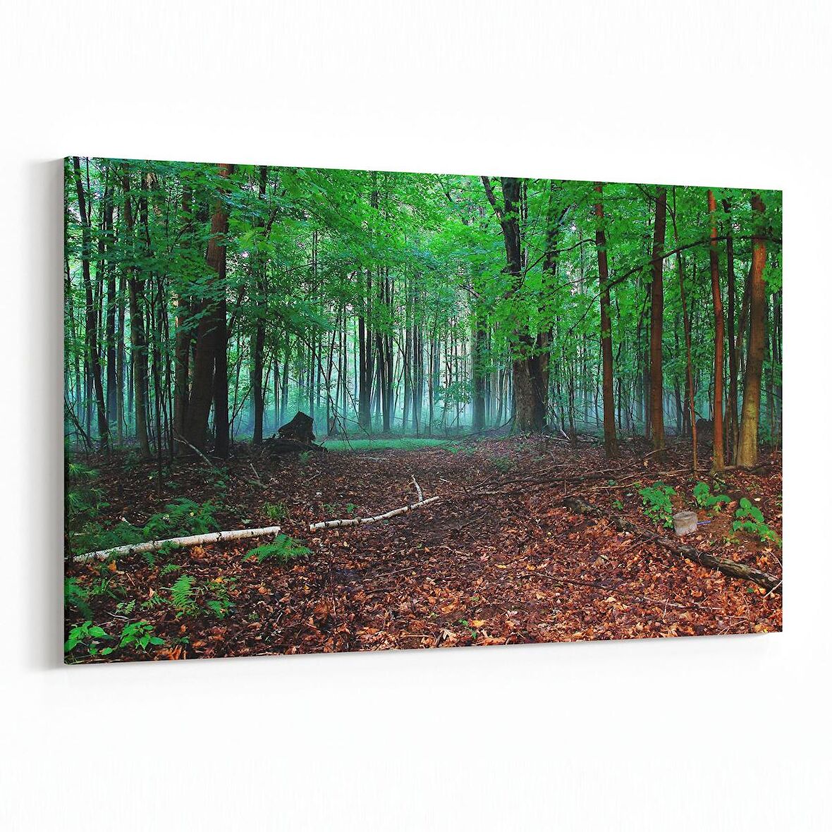 Olla 13501Y Doğa / Manzara Görseli Yatay Kanvas Tablo (Ölçü: 45X30)