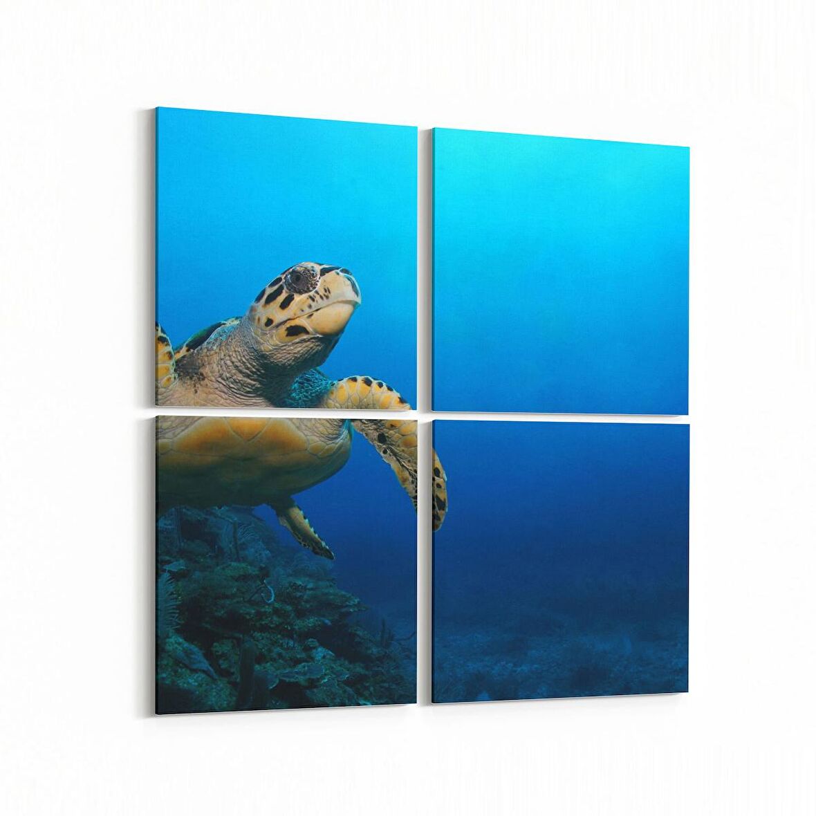 Olla 12898K4 Deniz / Okyanus Görseli Kare 4'lü Kanvas Tablo (Ölçü: 145X145)