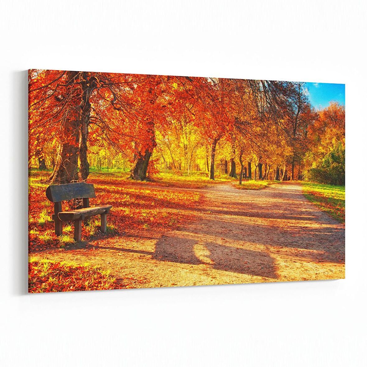 Olla 13522Y Doğa / Manzara Görseli Yatay Kanvas Tablo (Ölçü: 45X30)