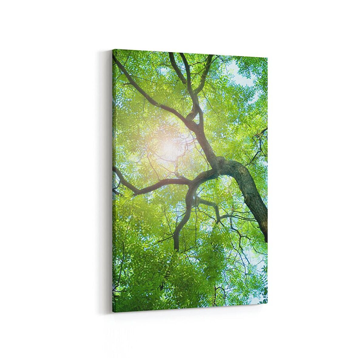 Olla 10497D Ağaç Görseli Dikey Kanvas Tablo (Ölçü: 60X90)