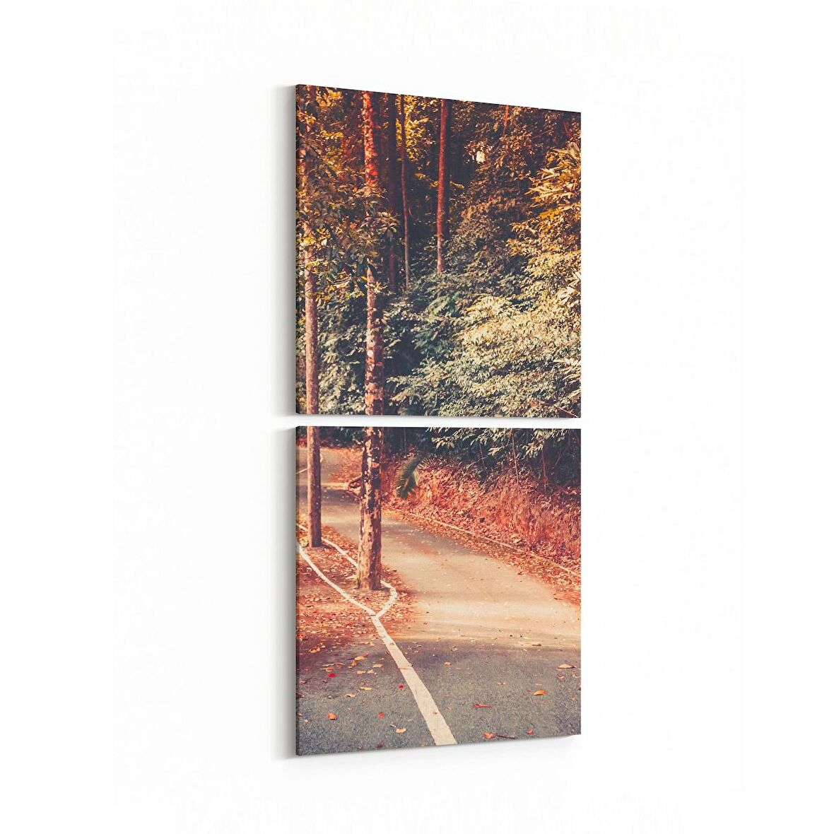 Olla 14454K2D Doğa / Manzara Görseli Kare 2'li Dikey Kanvas Tablo (Ölçü: 30X65)