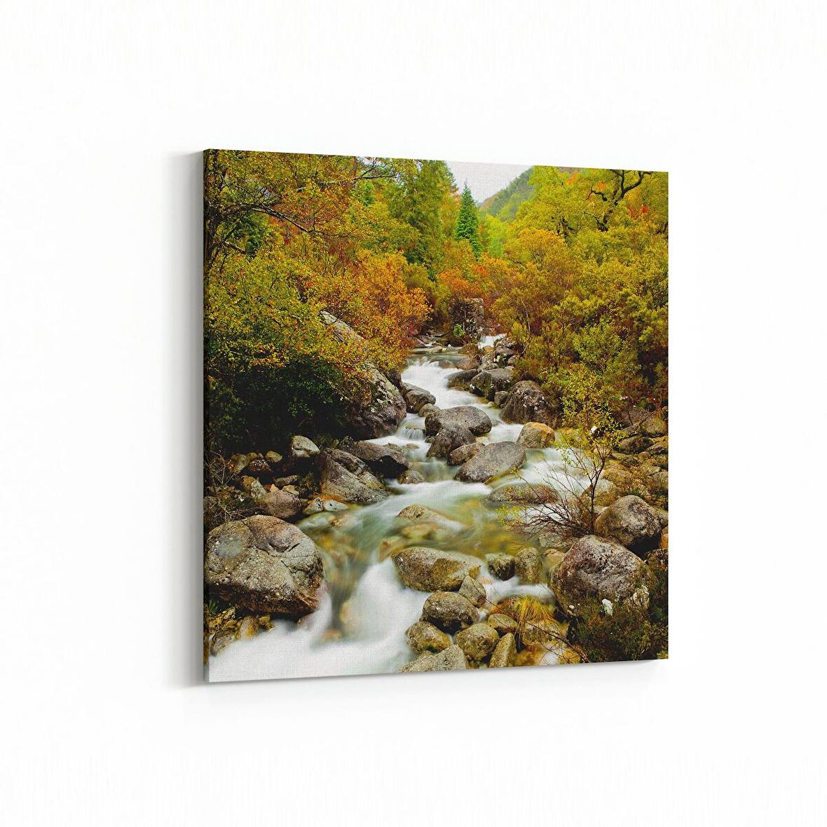 Olla 14298K Doğa / Manzara Görseli Kare Kanvas Tablo (Ölçü: 25X25)