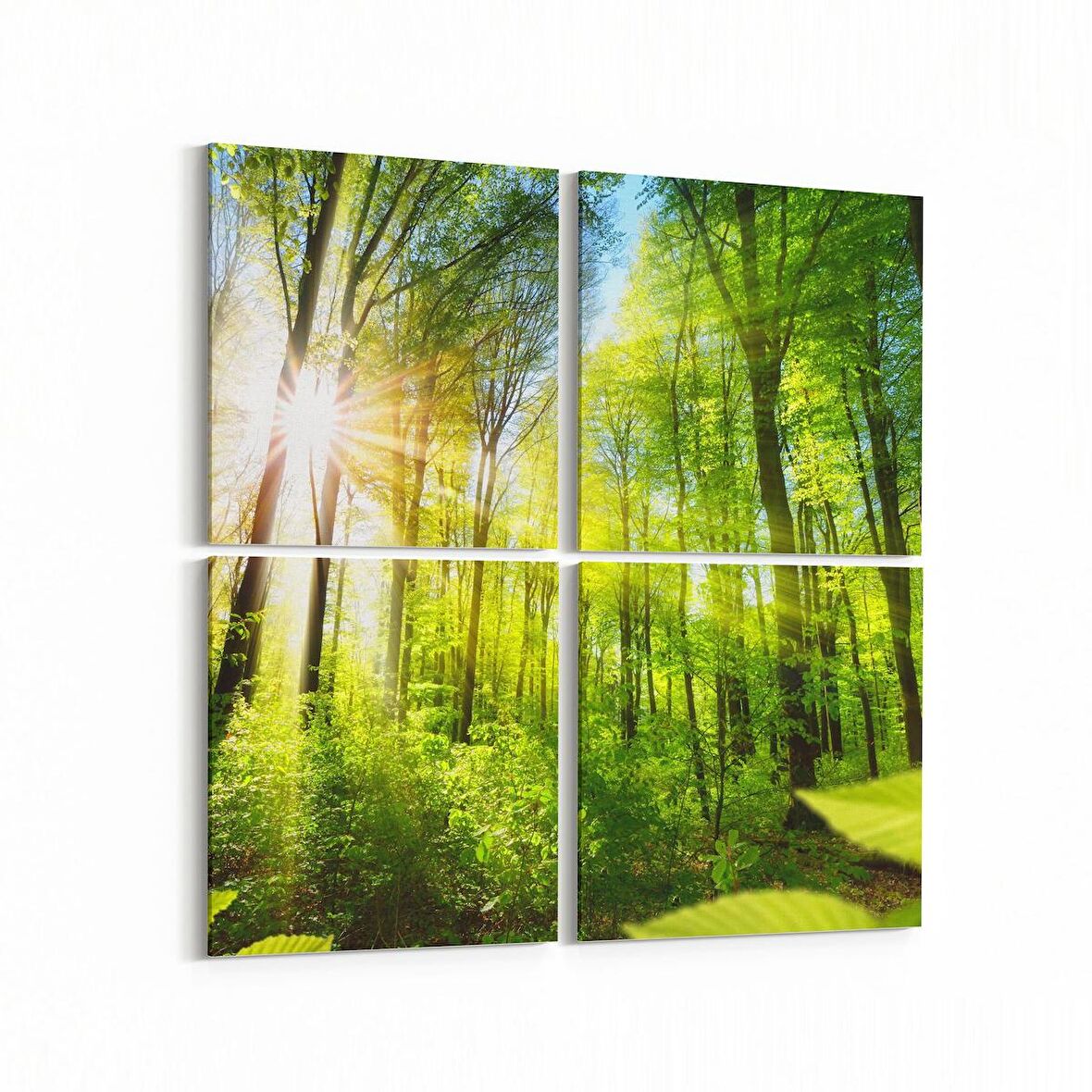 Olla 13987K4 Doğa / Manzara Görseli Kare 4'lü Kanvas Tablo (Ölçü: 145X145)