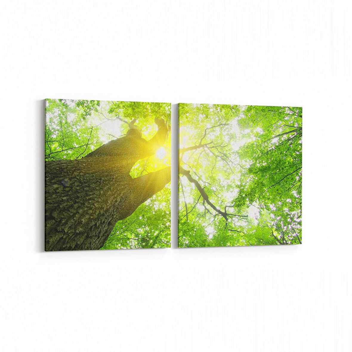 Olla 10627K2Y Ağaç Görseli Kare 2'li Yatay Kanvas Tablo (Ölçü: 145X70)