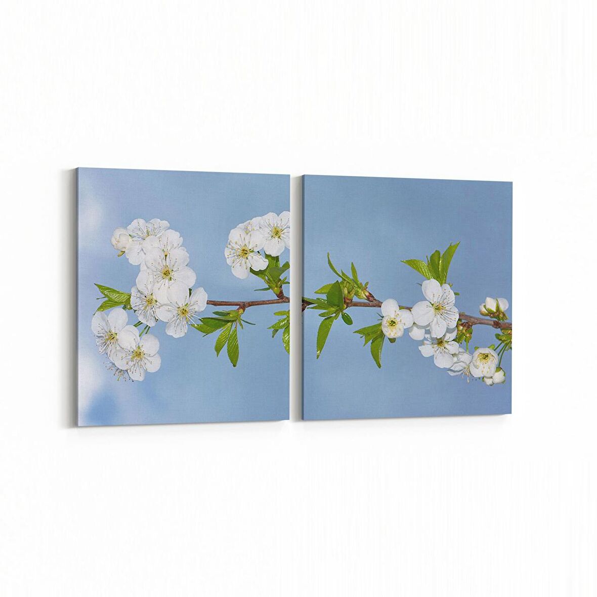 Olla 10847K2Y Ağaç Görseli Kare 2'li Yatay Kanvas Tablo (Ölçü: 145X70)