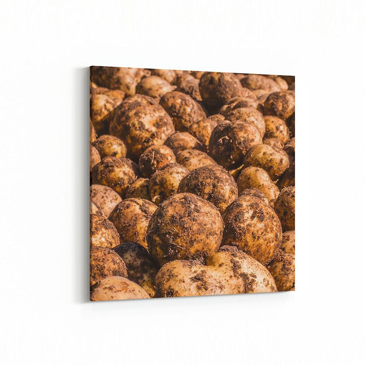 Olla 15239K Gıda Görseli Kare Kanvas Tablo (Ölçü: 30X30)