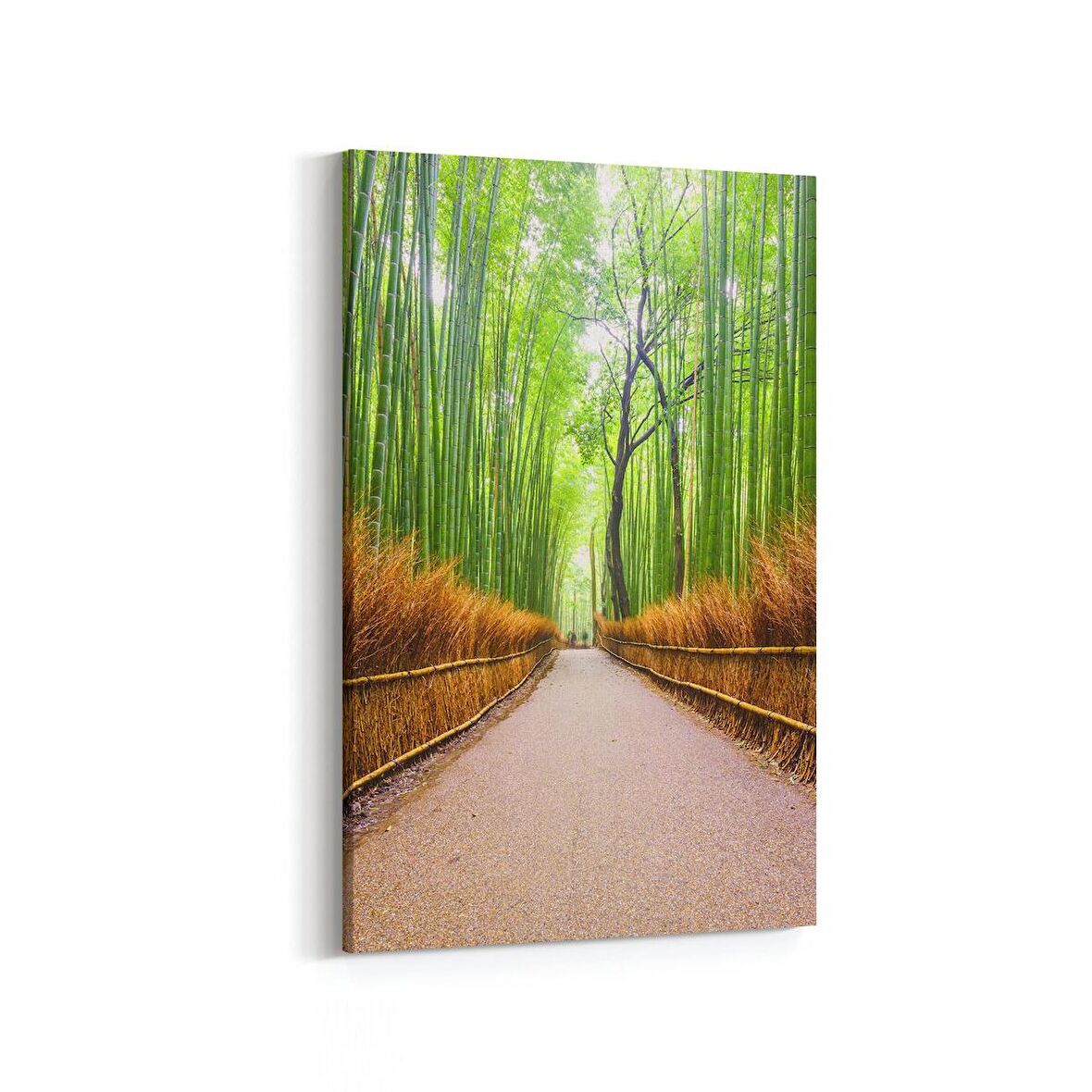 Olla 13837D Doğa / Manzara Görseli Dikey Kanvas Tablo (Ölçü: 20X30)