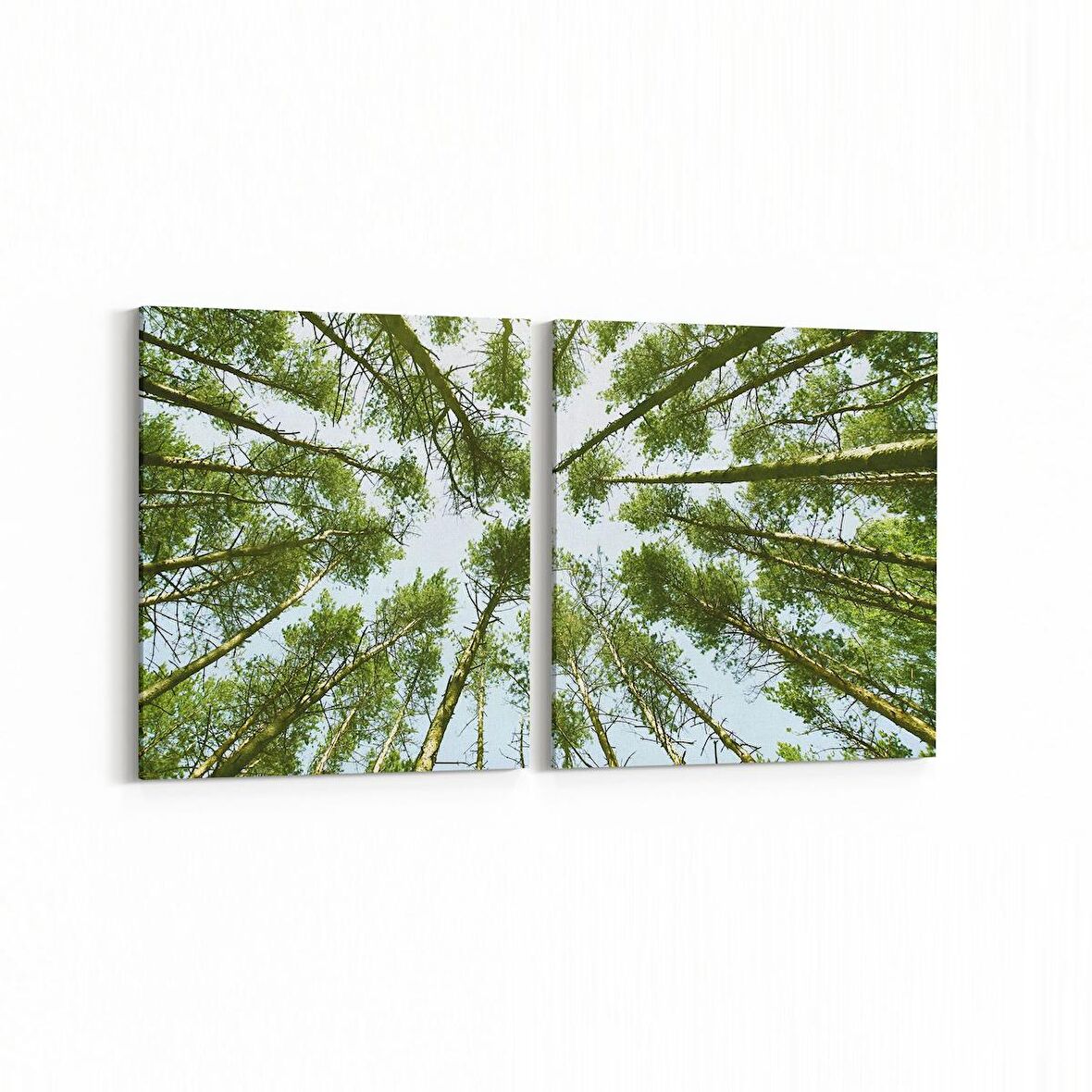 Olla 11536K2Y Palmiye Ağacı Görseli Kare 2'li Yatay Kanvas Tablo (Ölçü: 125X60)