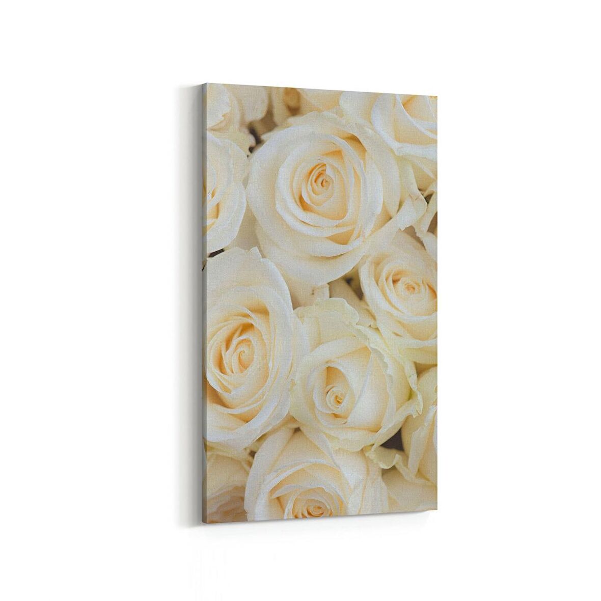 Olla 11608DD Çiçek Görseli Dikey Dar Kanvas Tablo (Ölçü: 60X120)