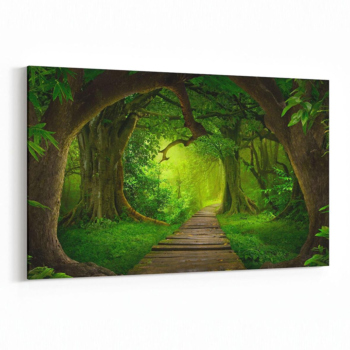 Olla 14509Y Doğa / Manzara Görseli Yatay Kanvas Tablo (Ölçü: 90X60)