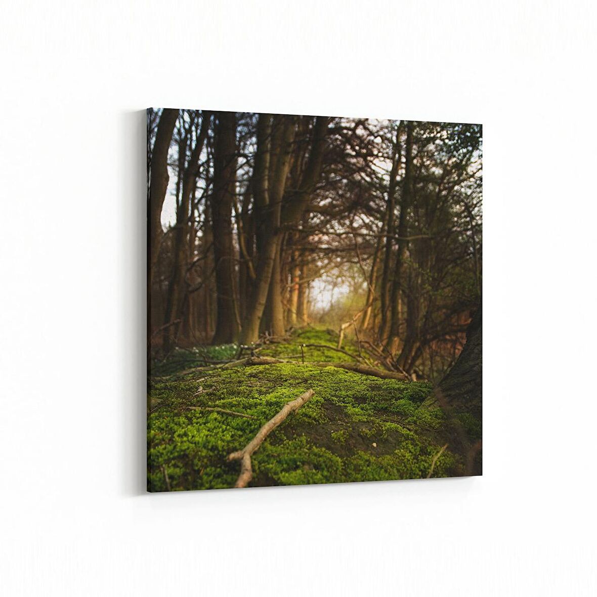 Olla 14005K Doğa / Manzara Görseli Kare Kanvas Tablo (Ölçü: 100X100)