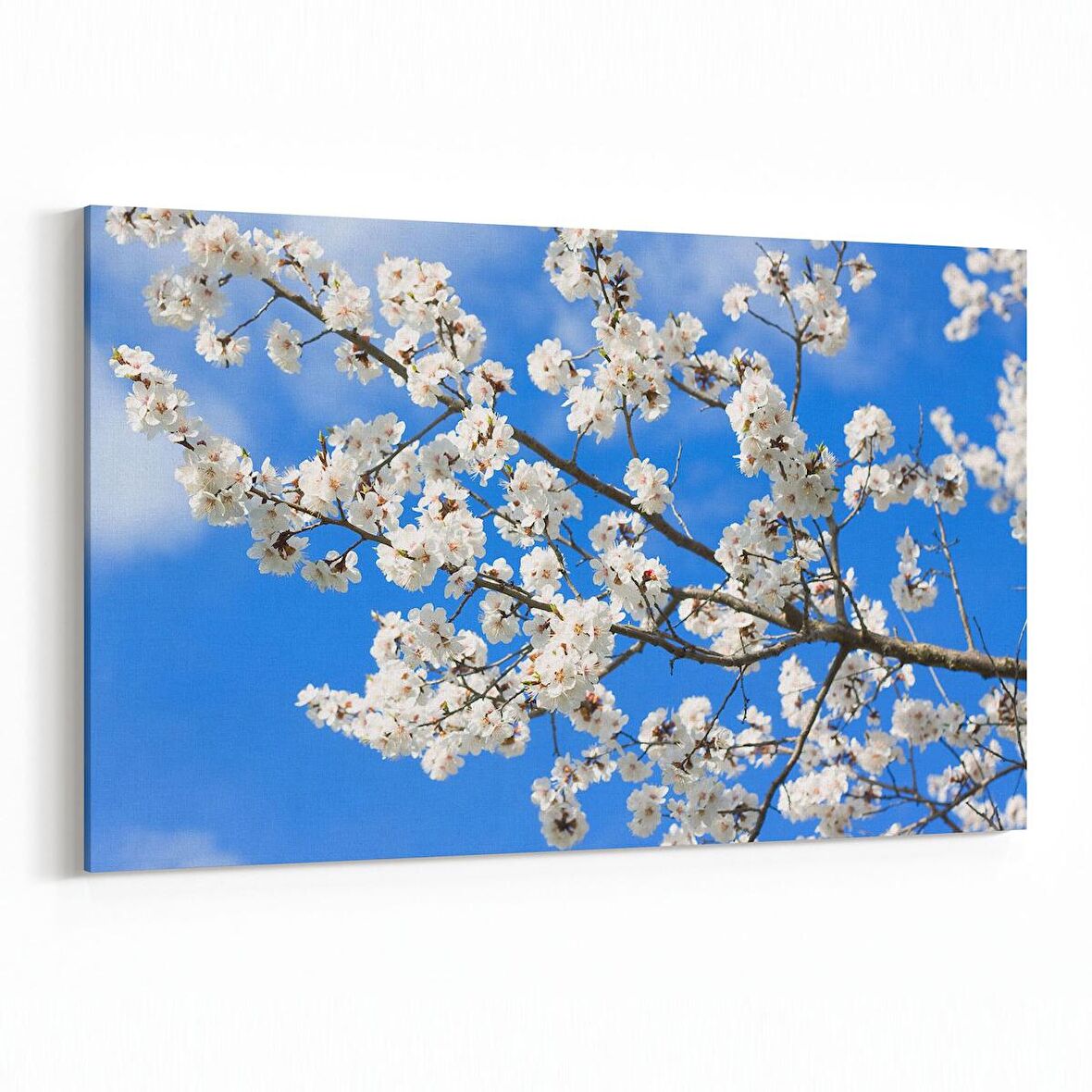 Olla 10926Y Ağaç Görseli Yatay Kanvas Tablo (Ölçü: 90X60)