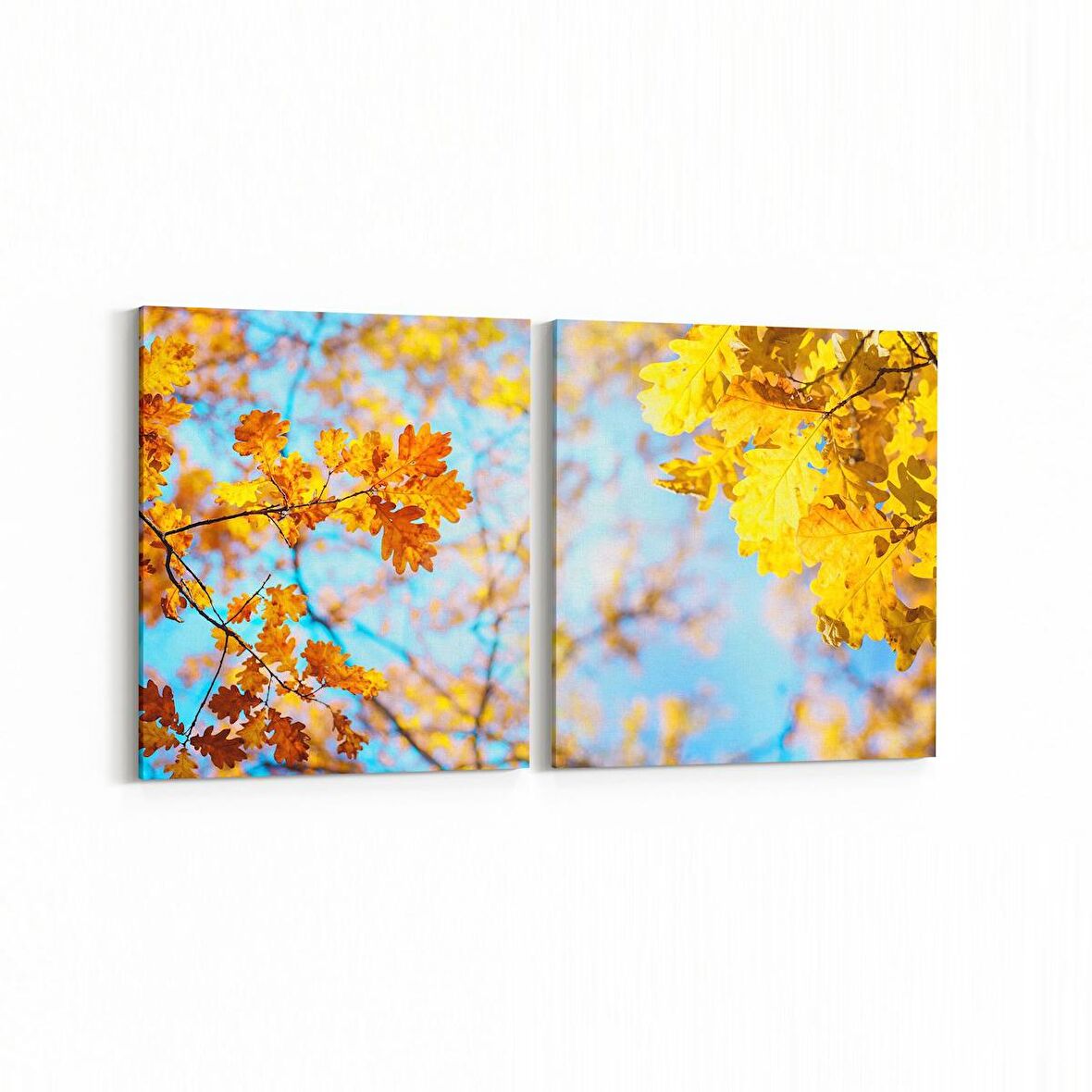 Olla 10973K2Y Ağaç Görseli Kare 2'li Yatay Kanvas Tablo (Ölçü: 65X30)