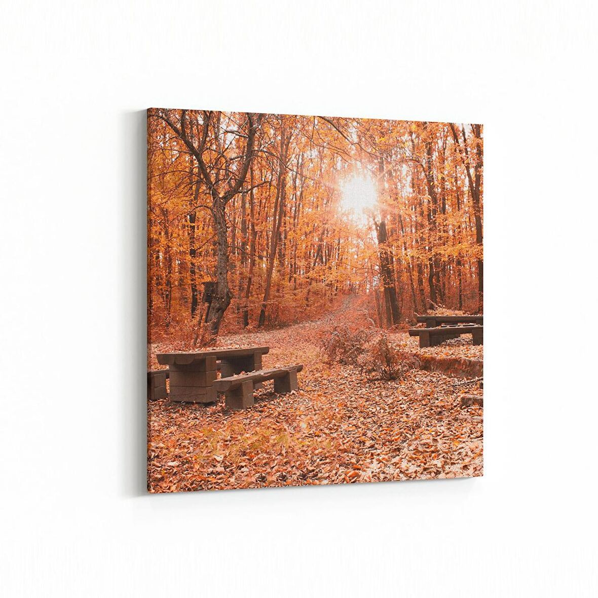 Olla 14308K Doğa / Manzara Görseli Kare Kanvas Tablo (Ölçü: 60X60)