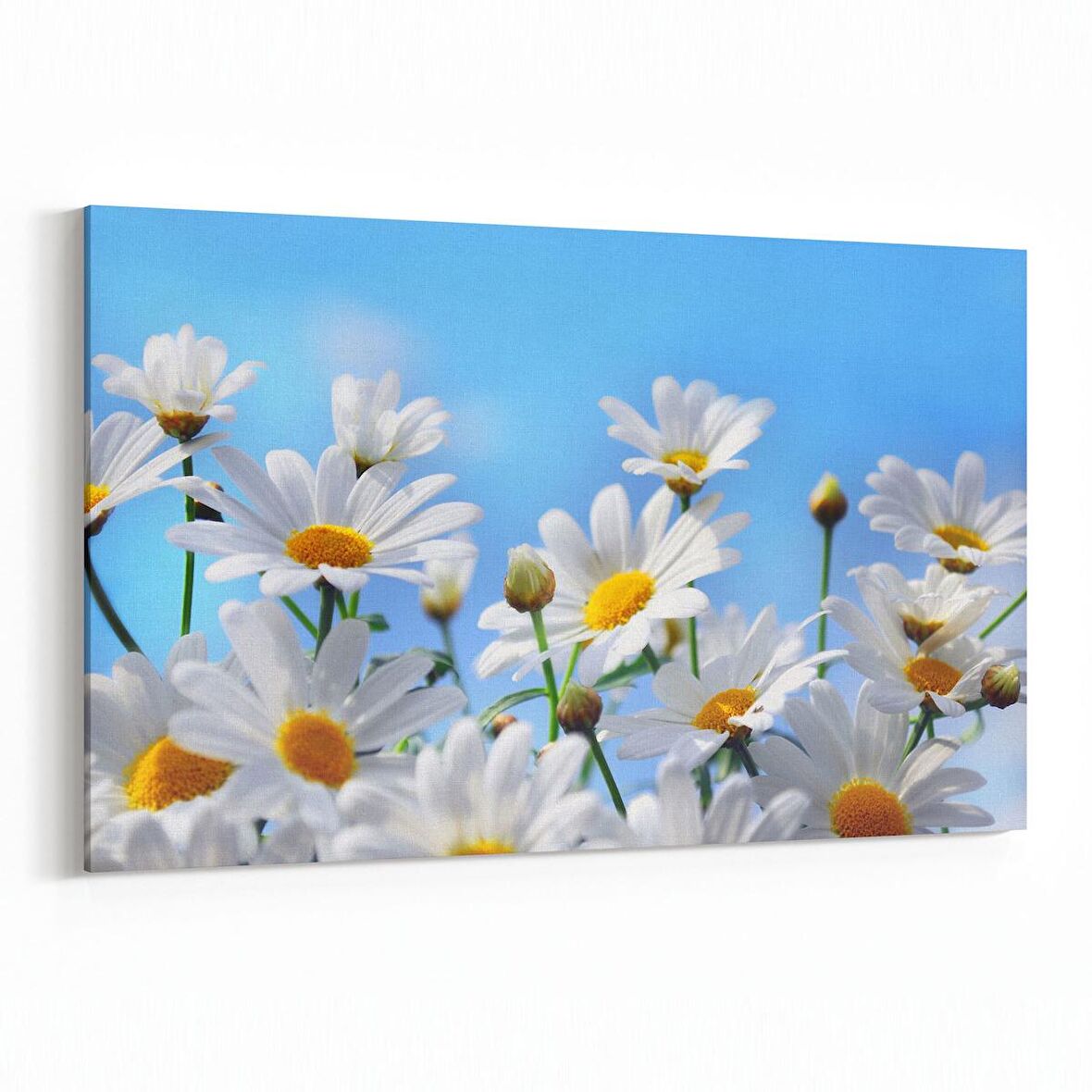 Olla 10782Y Ağaç Görseli Yatay Kanvas Tablo (Ölçü: 30X20)