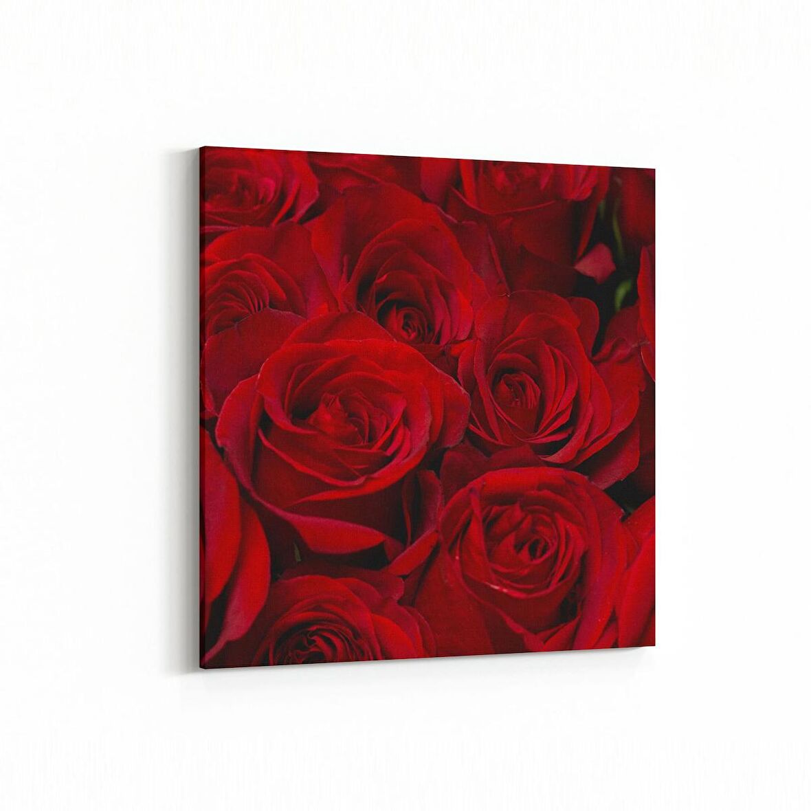 Olla 11557K Çiçek Görseli Kare Kanvas Tablo (Ölçü: 100X100)