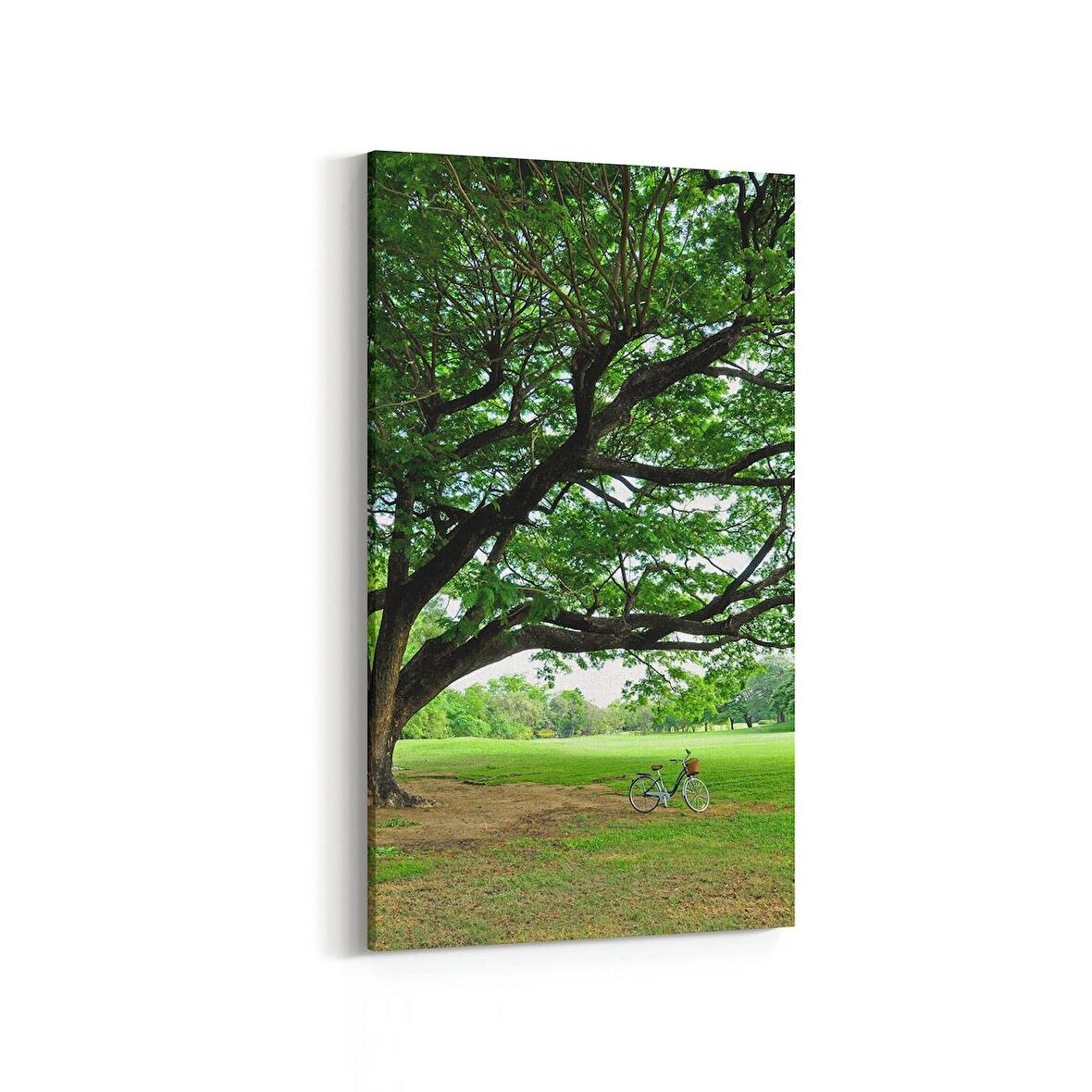 Olla 13426DD Doğa / Manzara Görseli Dikey Dar Kanvas Tablo (Ölçü: 60X120)