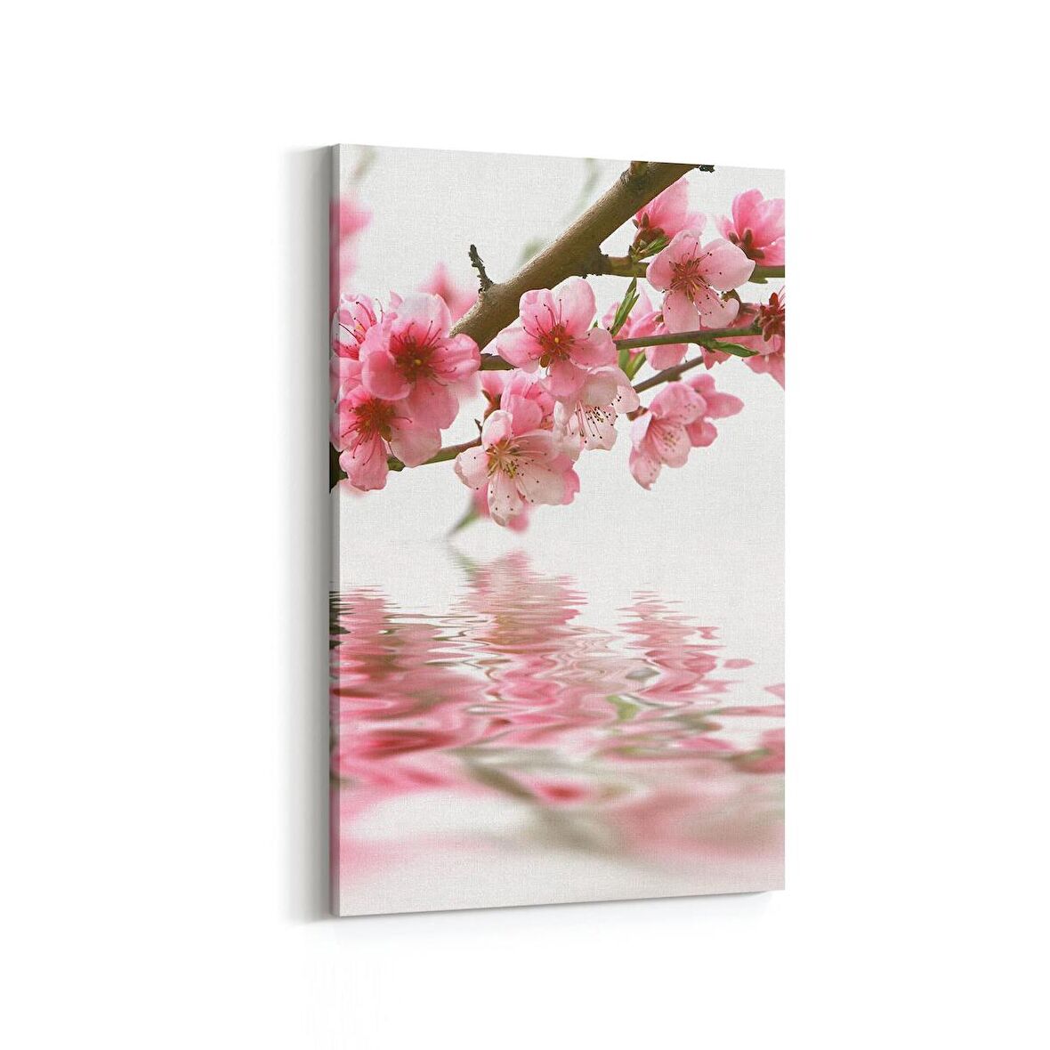 Olla 11705D Orkide Çiçek Görseli Dikey Kanvas Tablo (Ölçü: 60X90)